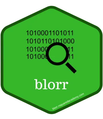 blorr hex sticker